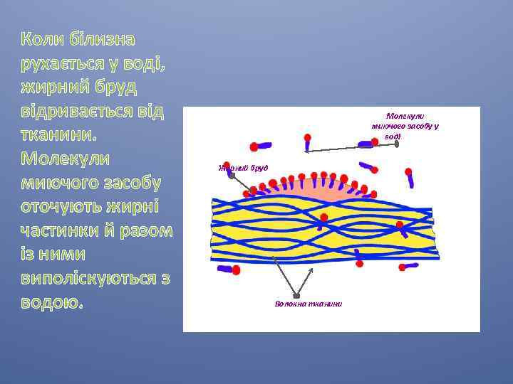 Коли білизна рухається у воді, жирний бруд відривається від тканини. Молекули миючого засобу оточують