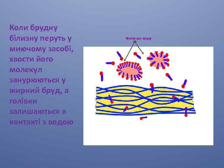 Коли брудну білизну перуть у миючому засобі, хвости його молекул занурюються у жирний бруд,