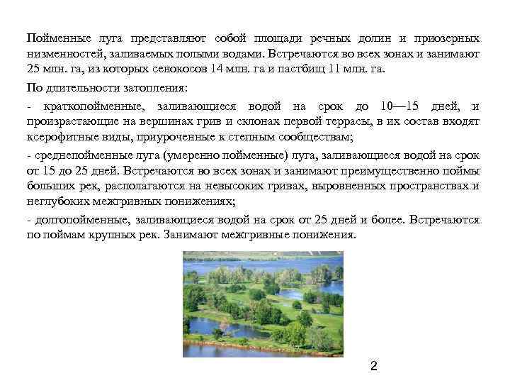 Пойменные луга представляют собой площади речных долин и приозерных низменностей, заливаемых полыми водами. Встречаются