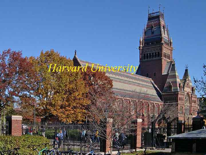 Harvard University 