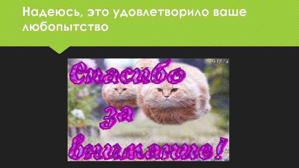 Надеюсь, это удовлетворило ваше любопытство 