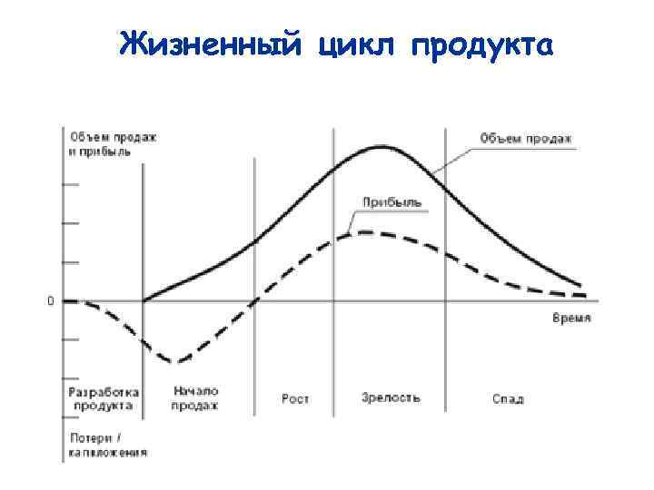 Жизненный цикл продукта 