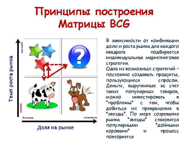 Принципы построения Матрицы BCG В зависимости от комбинации доли и роста рынка для каждого