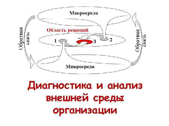 Диагностика и анализ внешней среды организации 