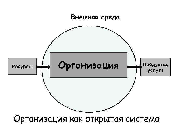 Внешняя компания. Внешняя среда организации.