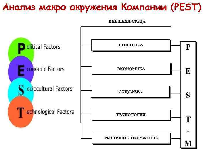 Анализ макро окружения Компании (PEST) ВНЕШНЯЯ СРЕДА ПОЛИТИКА P ЭКОНОМИКА E СОЦСФЕРА S ТЕХНОЛОГИЯ