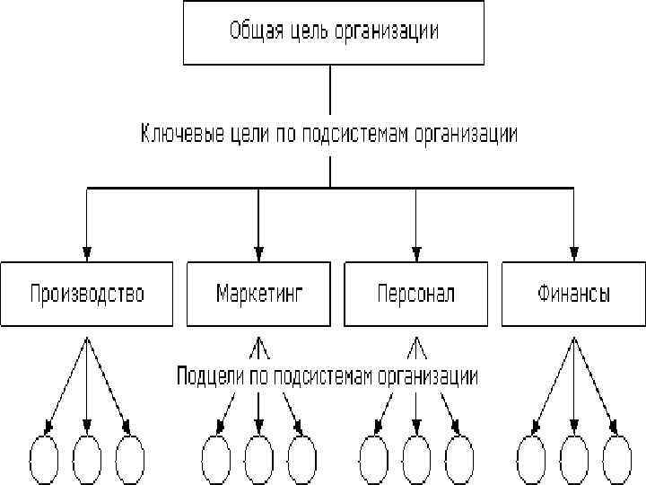 Структура целей организации