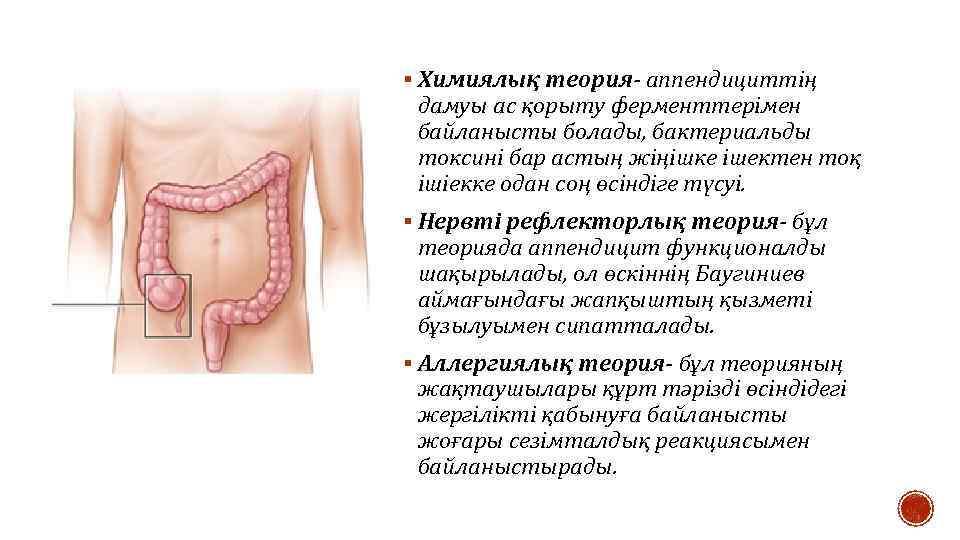 § Химиялық теория- аппендициттің дамуы ас қорыту ферменттерімен байланысты болады, бактериальды токсині бар астың