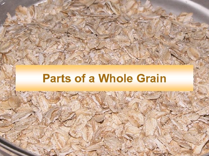 Parts of a Whole Grain 