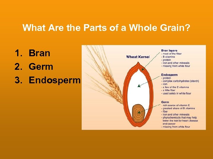 What Are the Parts of a Whole Grain? 1. Bran 2. Germ 3. Endosperm