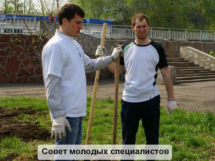 Совет молодых специалистов 