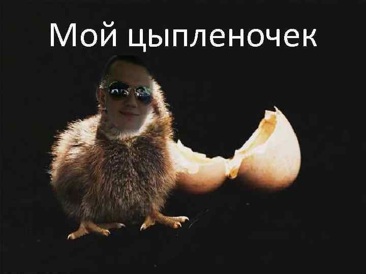 Мой цыпленочек 