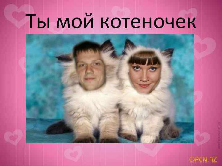 Ты мой котеночек 
