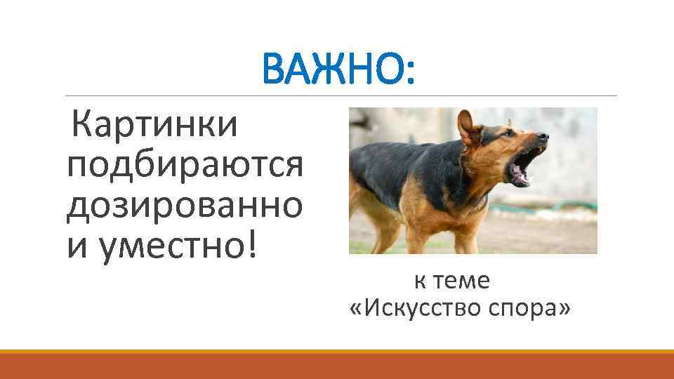 ВАЖНО: Картинки подбираются дозированно и уместно! к теме «Искусство спора» 