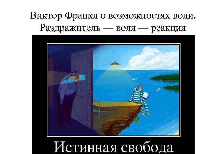 Виктор Франкл о возможностях воли. Раздражитель — воля — реакция 