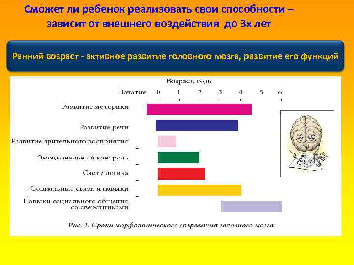 Сможет ли ребенок реализовать свои способности – зависит от внешнего воздействия до 3 х