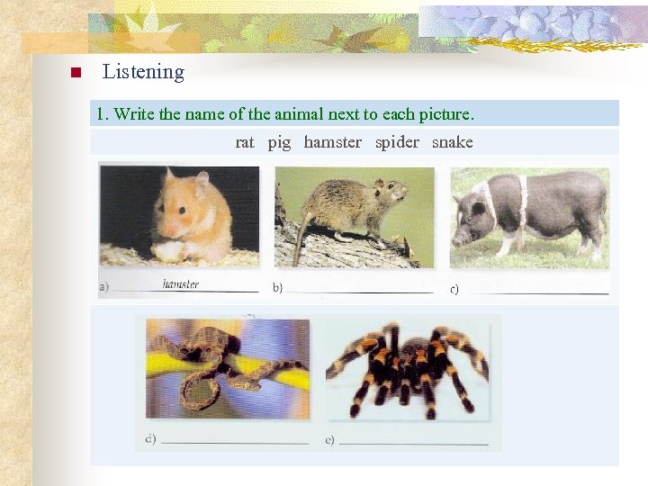 n Listening 1. Write the name of the animal next to each picture. rat