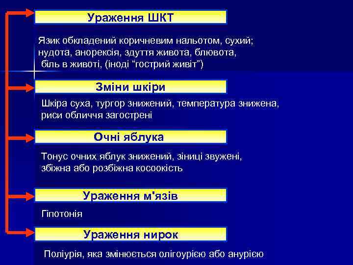 Ураження ШКТ Язик обкладений коричневим нальотом, сухий; нудота, анорексія, здуття живота, блювота, біль в