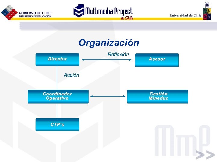 Organización 