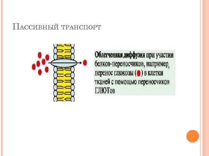 ПАССИВНЫЙ ТРАНСПОРТ 