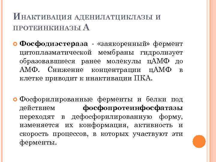 ИНАКТИВАЦИЯ АДЕНИЛАТЦИКЛАЗЫ И ПРОТЕИНКИНАЗЫ А Фосфодиэстераза - «заякоренный» фермент цитоплазматической мембраны гидролизует образовавшиеся ранее