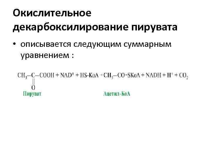 Окислительное декарбоксилирование пирувата • описывается следующим суммарным уравнением : 