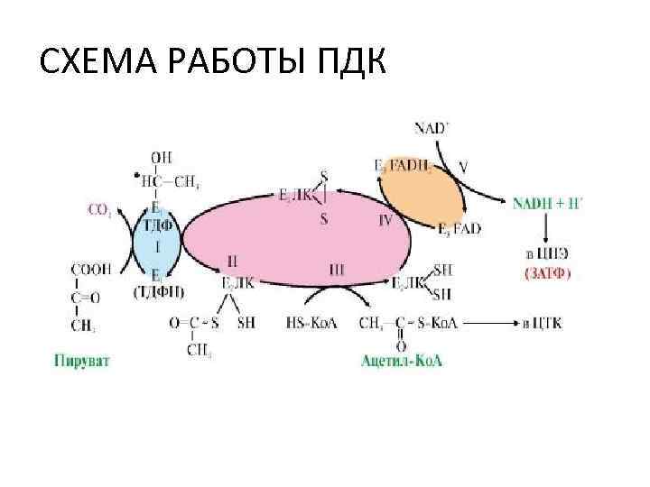 СХЕМА РАБОТЫ ПДК 