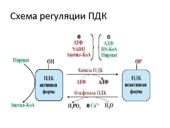 Схема регуляции ПДК 