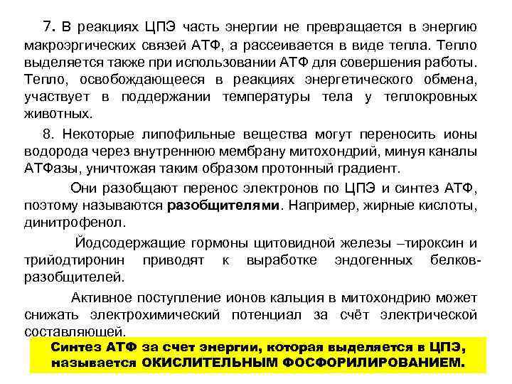 7. В реакциях ЦПЭ часть энергии не превращается в энергию макроэргических связей АТФ, а