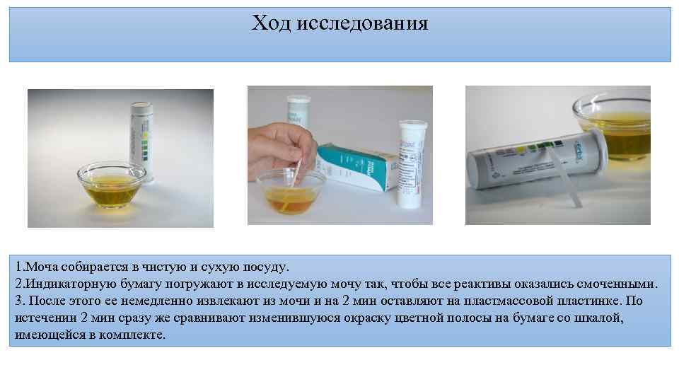 Ход исследования 1. Моча собирается в чистую и сухую посуду. 2. Индикаторную бумагу погружают