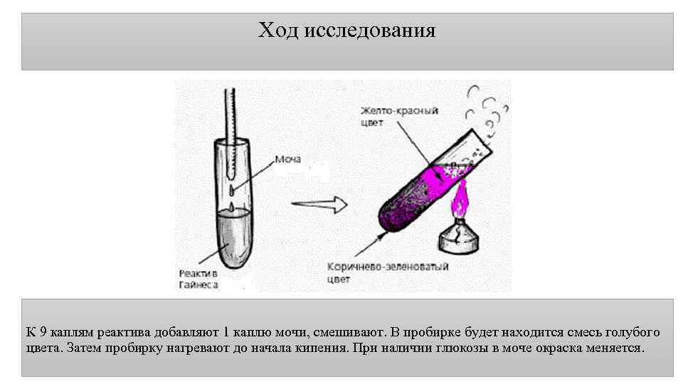 Ход исследования К 9 каплям реактива добавляют 1 каплю мочи, смешивают. В пробирке будет