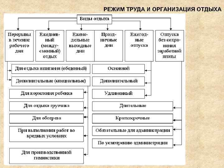 Особенности режима труда и отдыха подростков презентация