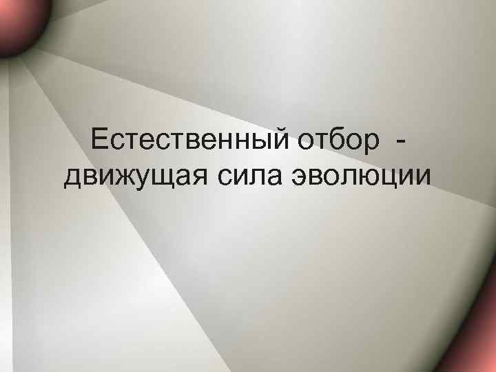 Естественный отбор движущая сила эволюции 