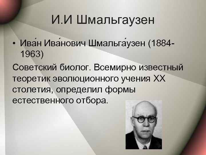 И. И Шмальгаузен • Ива нович Шмальга узен (18841963) Советский биолог. Всемирно известный теоретик
