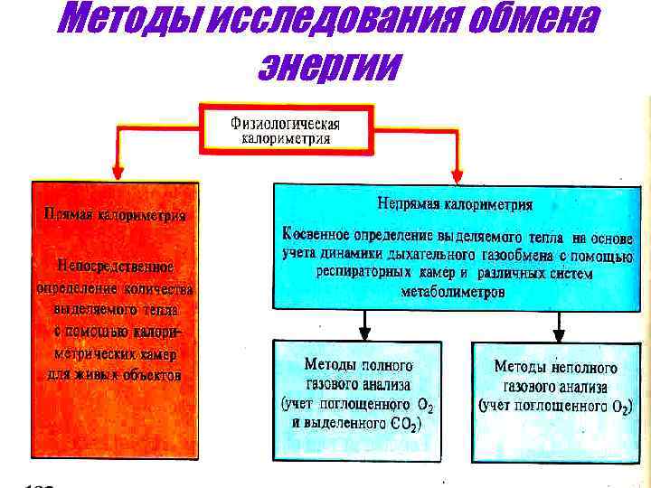 Методы исследования обмена энергии 