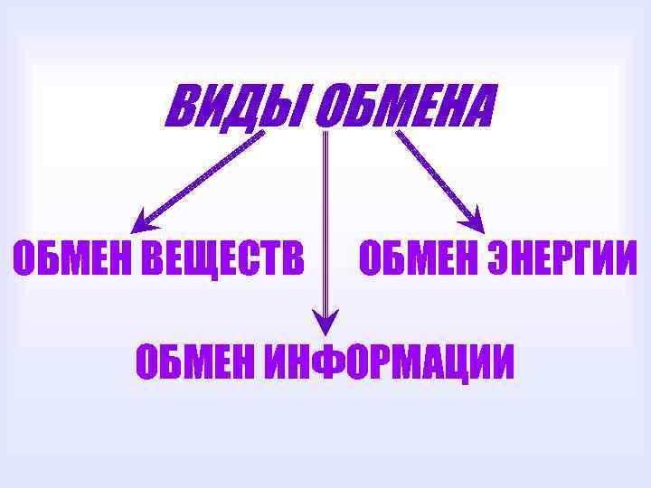 ВИДЫ ОБМЕНА ОБМЕН ВЕЩЕСТВ ОБМЕН ЭНЕРГИИ ОБМЕН ИНФОРМАЦИИ 