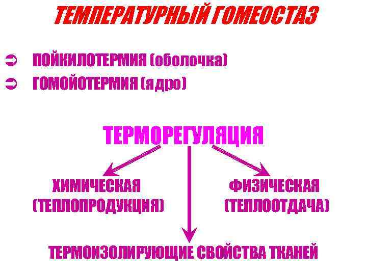 Нарушение температуры. Регуляция температурного гомеостаза. Механизмы поддержания температурного гомеостаза. Температурный гомеостаз его регуляция физиология. Терморегуляция как фактор гомеостаза.