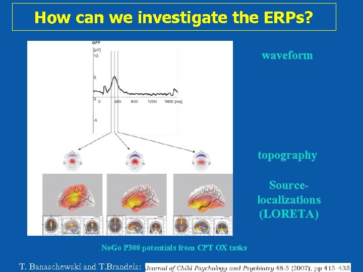 How can we investigate the ERPs? waveform topography Sourcelocalizations (LORETA) No. Go P 300