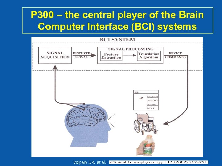 P 300 – the central player of the Brain Computer Interface (BCI) systems Volpaw