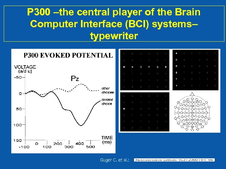 P 300 –the central player of the Brain Computer Interface (BCI) systems– typewriter Guger