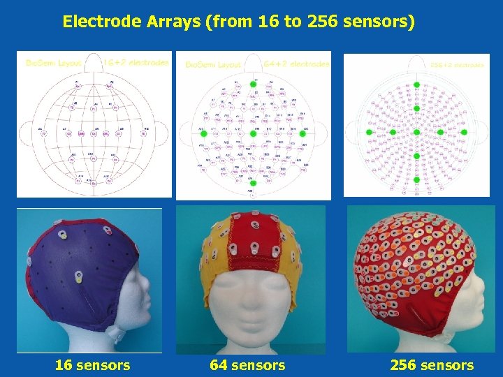 Electrode Arrays (from 16 to 256 sensors) 16 sensors 64 sensors 256 sensors 