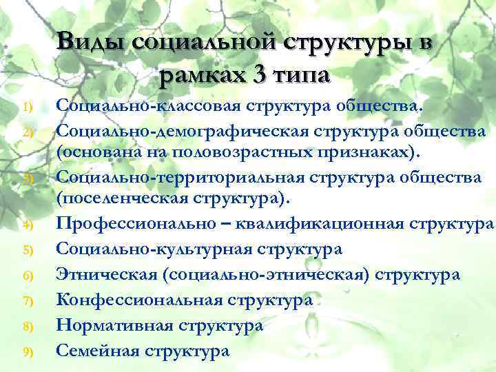 Виды социальной структуры в рамках 3 типа 1) 2) 3) 4) 5) 6) 7)
