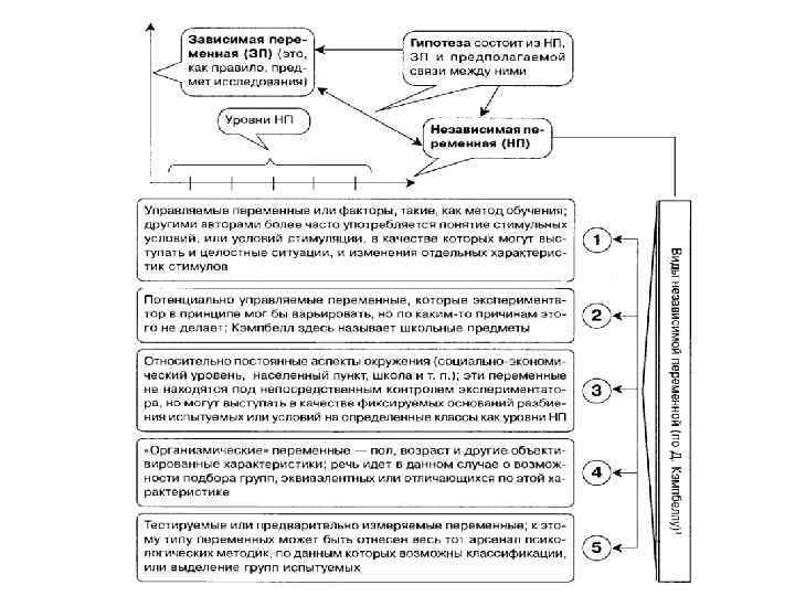 Независимые переменные 