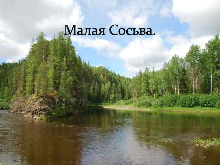 Малая Сосьва. 