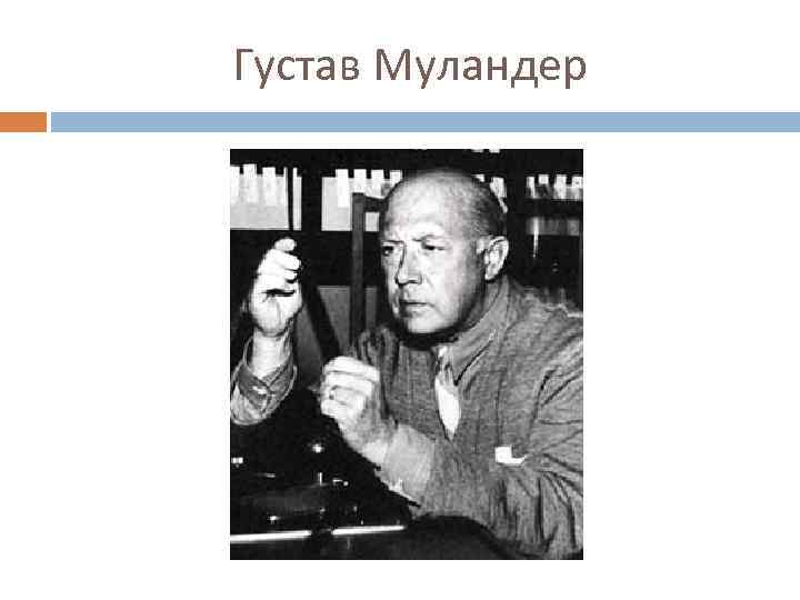 Густав Муландер 