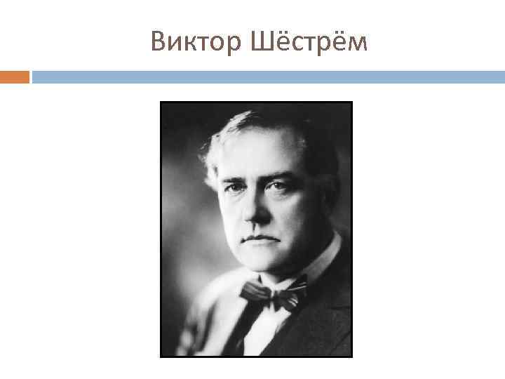 Виктор Шёстрём 