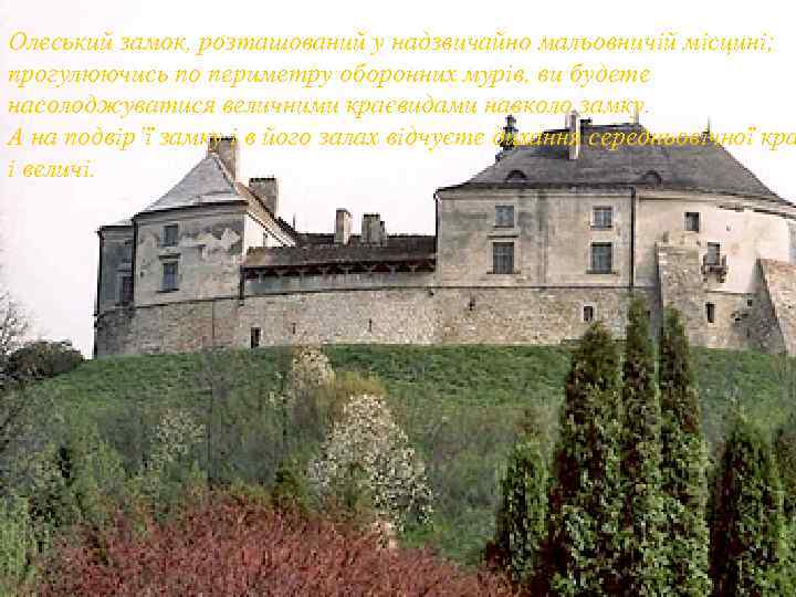 Олеський замок, розташований у надзвичайно мальовничій місцині; прогулюючись по периметру оборонних мурів, ви будете