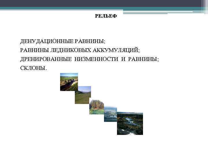 РЕЛЬЕФ • ДЕНУДАЦИОННЫЕ РАВНИНЫ; • РАВНИНЫ ЛЕДНИКОВЫХ АККУМУЛЯЦИЙ; • ДРЕНИРОВАННЫЕ НИЗМЕННОСТИ И РАВНИНЫ; •