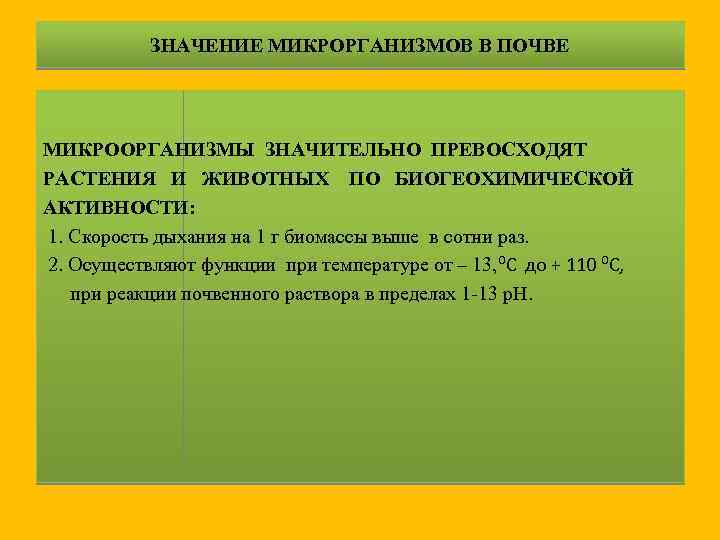 ЗНАЧЕНИЕ МИКРОРГАНИЗМОВ В ПОЧВЕ МИКРООРГАНИЗМЫ ЗНАЧИТЕЛЬНО ПРЕВОСХОДЯТ РАСТЕНИЯ И ЖИВОТНЫХ ПО БИОГЕОХИМИЧЕСКОЙ АКТИВНОСТИ: 1.