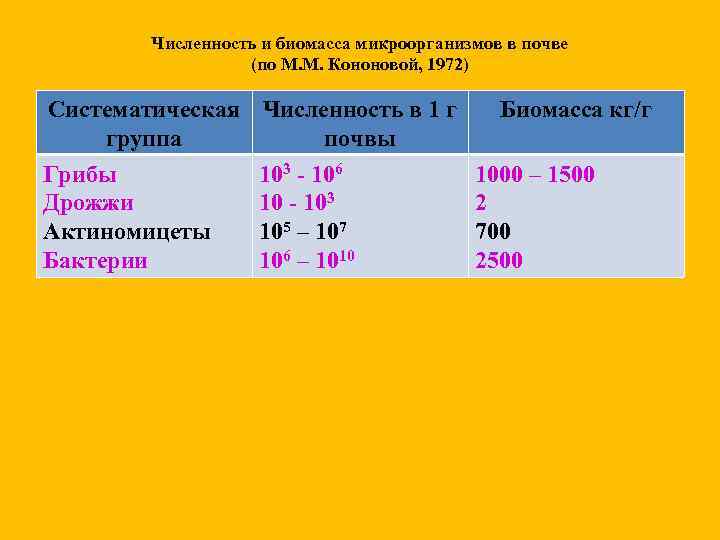 Численность и биомасса микроорганизмов в почве (по М. М. Кононовой, 1972) Систематическая группа Грибы